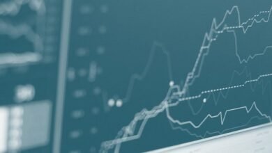 Proyecto del CONICET. Pacientes crónicos.