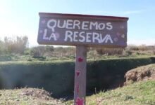 Espacio. Media sanción a la Ley para proteger espacios verdes.