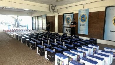 Ministerio de Seguridad Nacional, efectivos del Departamento Federal de Investigaciones (DFI) de la Policía Federal Argentina (PFA)