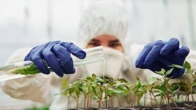 Investigadores. El conocimiento sobre el arándano.