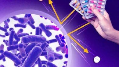 Antibióticos. Resistencia. Amenaza que preocupa a especialistas.