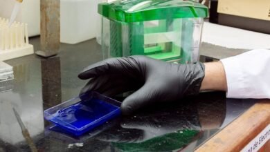 Enfermedades. Riesgo cardiovascular. Se oculta en la biología.