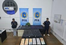 Droga. Órdenes de allanamiento.