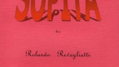 Poesía. Pequeño dossier sobre el libro ‘Sopita’.