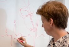 Cardiovasculares. El tratamiento de enfermedades cardíacas.