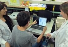 Avance. Patógeno bacteriano crítico posee un reloj biológico