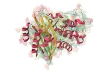 La “energía oscura”, diferencia entre estas dos magnitudes.