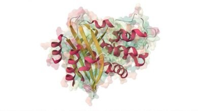 La “energía oscura”, diferencia entre estas dos magnitudes.