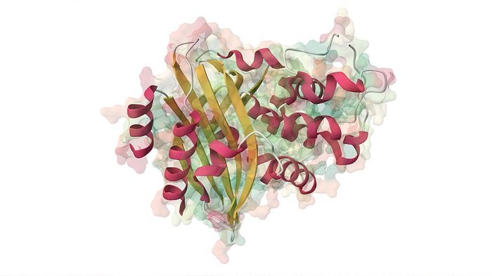 La “energía oscura”, diferencia entre estas dos magnitudes.