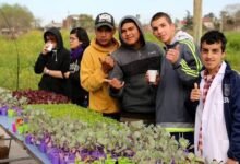 Huertas agroecológicas para promover la seguridad alimentaria