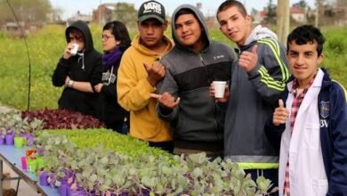 Huertas agroecológicas para promover la seguridad alimentaria