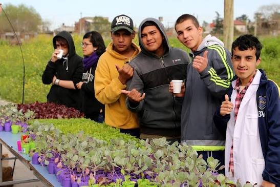 Huertas agroecológicas para promover la seguridad alimentaria