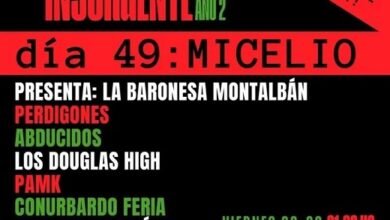 El Ciclo Insurgente celebra el micelio cultural.