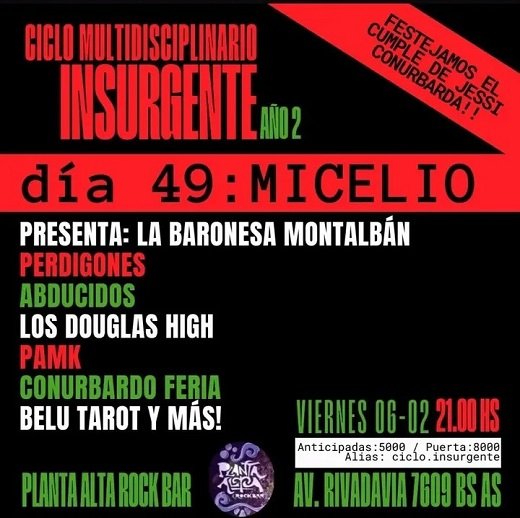 El Ciclo Insurgente celebra el micelio cultural.