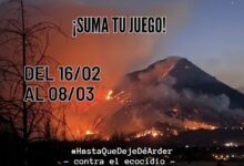 Arde la Patagonia: juegos creados como forma de lucha.
