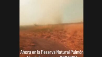 Incendios. Nuevo incendio en “EL Pulmón Verde” de Virrey del Pino