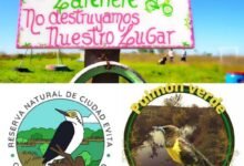 Los espacios naturales que preservan biodiversidad en La Matanza