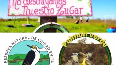 Los espacios naturales que preservan biodiversidad en La Matanza