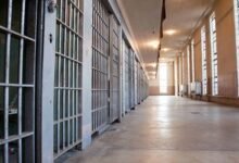 Delitos. Sistema penitenciario al límite.