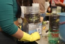 CITLAM: Abierta la inscripción al curso de Compostaje.