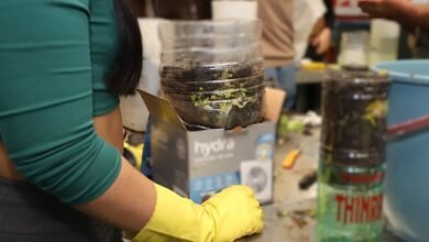 CITLAM: Abierta la inscripción al curso de Compostaje.