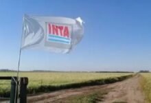 INTA. Avanzan para frenar la venta de tierras del INTA.