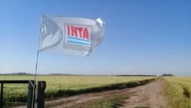 INTA. Avanzan para frenar la venta de tierras del INTA.