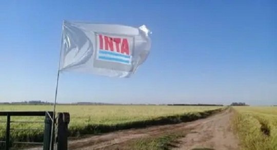INTA. Avanzan para frenar la venta de tierras del INTA.