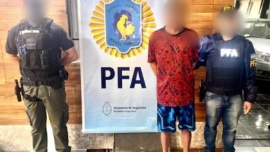 La PFA desbarató a la banda de “Los menores”.