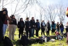 Tres Ombúes y la crisis de los humedales.