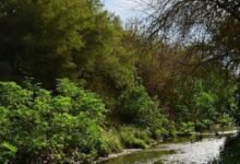 Memoria y comunidad: tres espacios de La Matanza.