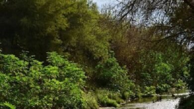 Memoria y comunidad: tres espacios de La Matanza.