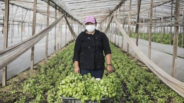 Agricultura familiar en La Matanza.