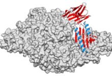 Avance argentino abre nuevas posibilidades.
