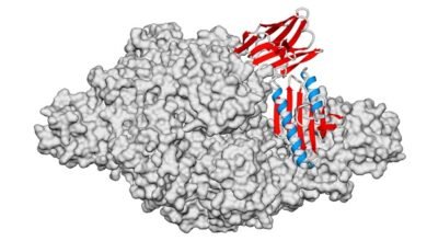 Avance argentino abre nuevas posibilidades.