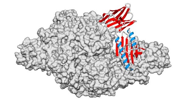 Avance argentino abre nuevas posibilidades.