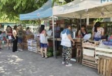 La Feria Itinerante fortalece el acceso a alimentos.