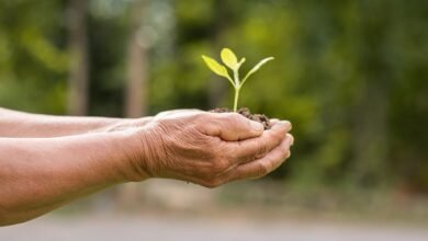 Reserva Natural de Ciudad Evita.