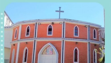 Los docentes. Despido y organización gremial.