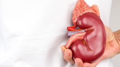 Salud renal: la importancia de la prevención.