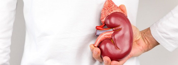Salud renal: la importancia de la prevención.