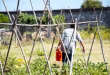 Un cuadernillo que articula saberes.