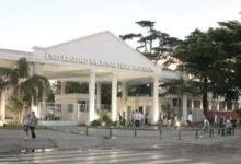 Enfermedades. Herramienta científica.