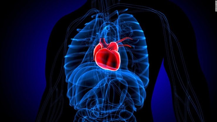 Enfermedades. Cómo reconocer la miocardiopatía de Takotsubo.