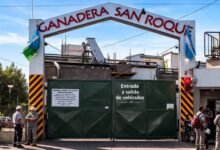 Frigorífico San Roque y dejó 140 trabajadores sin empleo.