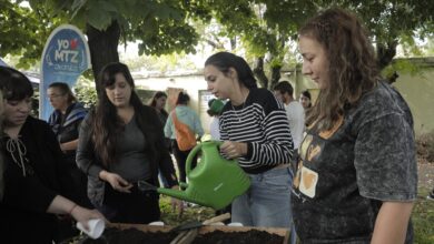 Viveros Satélites para construir su propia huerta.