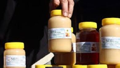 Semana de la Miel Bonaerense con productores, y degustaciones.