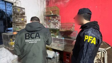 Aves exóticas en cautiverio fueron rescatadas en La Matanza.