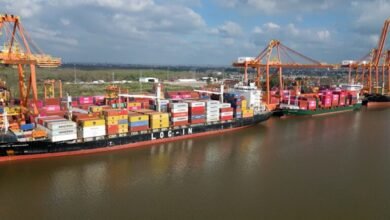 Puerto La Plata cerró 2025 con menos toneladas.
