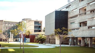 La UNSAM organiza un workshop internacional.